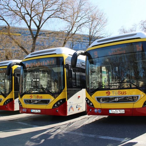 Drei Busse der TüBus stehen auf einem Parkplatz. Die Busse haben eine rote und gelbe Lackierung mit dem Logo von TüBus. Auf den Displays der Busse sind verschiedene Anzeigen zu sehen, darunter "Betriebshof" und "Reise nach Schwäbisch". Im Hintergrund sind Bäume und ein modernes Gebäude sichtbar. Der Himmel ist klar und sonnig.