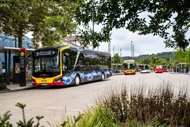 Ein elektrisch betriebener Bus mit der Aufschrift "ELEKTROBUS" steht an einer Haltestelle. Im Hintergrund sind weitere Busse zu sehen, darunter ein gelber und ein roter Bus. Die Umgebung ist von Bäumen und einer modernen Haltestelle mit Informationsschildern geprägt. Der Himmel ist bewölkt, und es sind mehrere Lichtmasten aufgestellt.